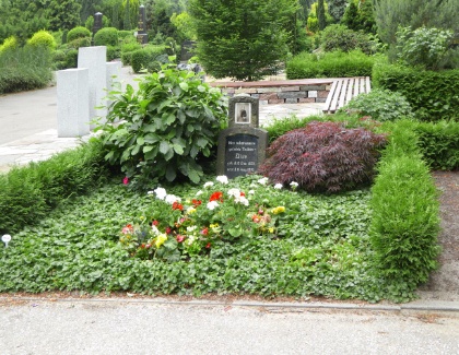 Eins der ältesten Gräber auf dem Stellinger Friedhof stammt von 1893.